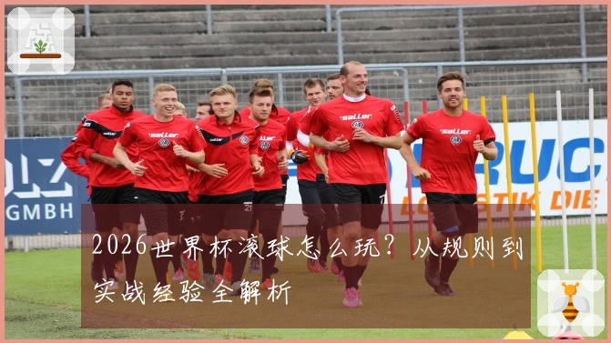 2026世界杯滚球怎么玩？从规则到实战经验全解析