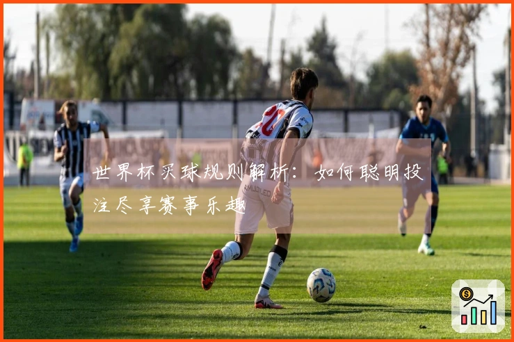 世界杯买球规则解析：如何聪明投注尽享赛事乐趣