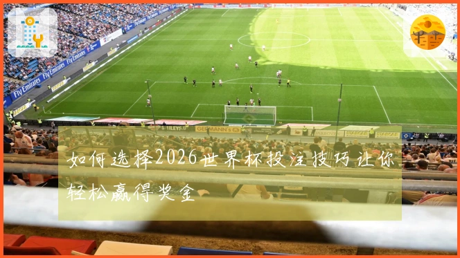 如何选择2026世界杯投注技巧让你轻松赢得奖金