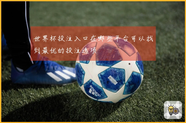 世界杯投注入口在哪些平台可以找到最优的投注选项