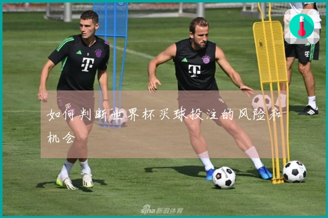如何判断世界杯买球投注的风险和机会