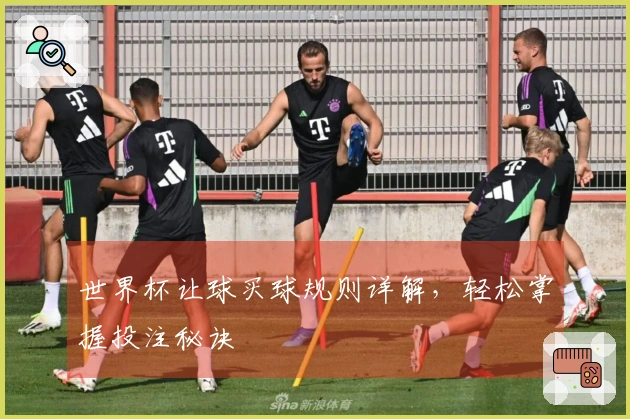 世界杯让球买球规则详解，轻松掌握投注秘诀