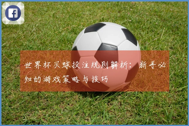 世界杯买球投注规则解析：新手必知的游戏策略与技巧