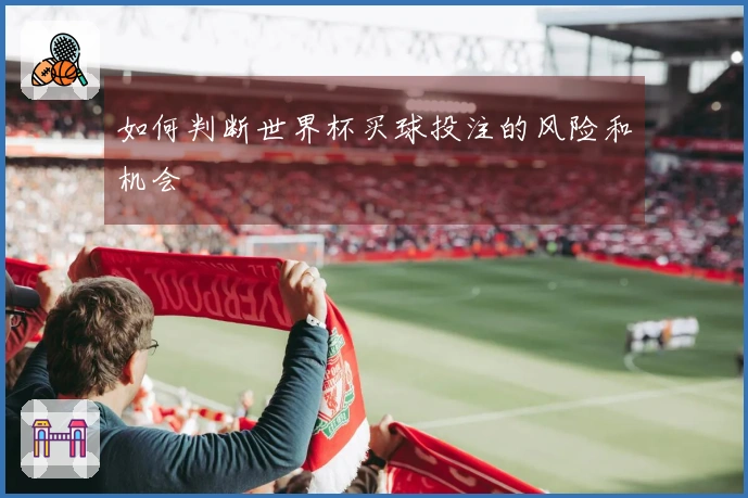 如何判断世界杯买球投注的风险和机会